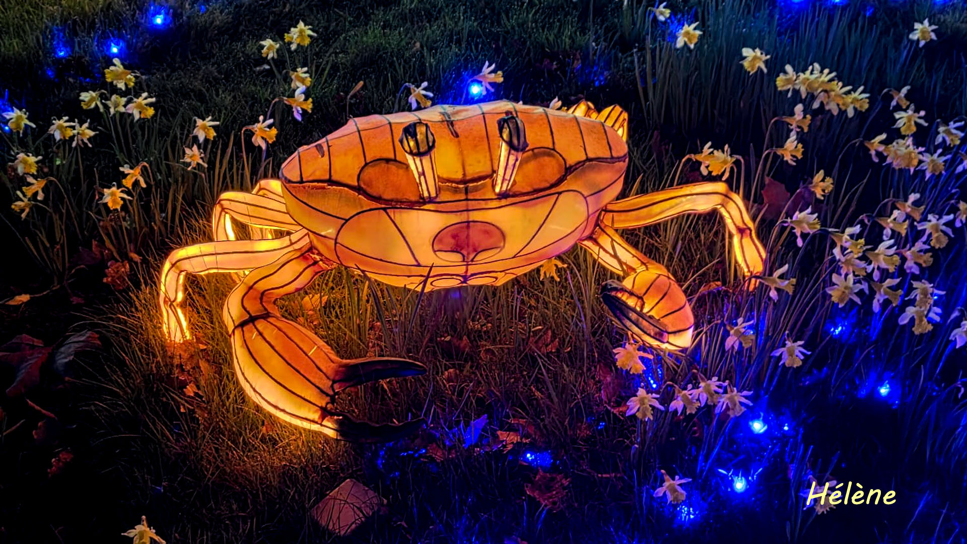 THOIRY -Illumination ,  Lumières sauvages 2025-2026